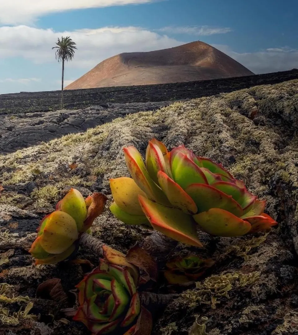 Lanzarote Casa Volcanica-Anclada Sobre La Lava Del Volcan Montana Blanca Villa