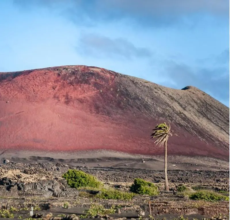 Lanzarote Casa Volcanica-Anclada Sobre La Lava Del Volcan Montana Blanca